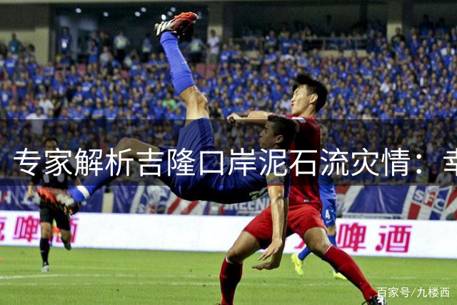 专家解析吉隆口岸泥石流灾情：幸存者搜寻面临巨大困难